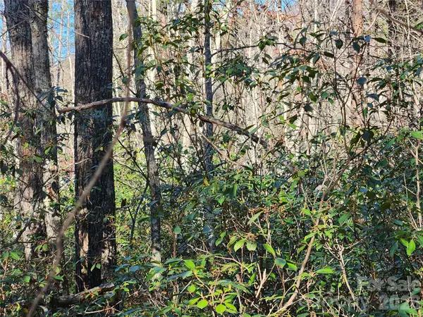 Lot 4 Whitney Boulevard, Lake Lure, NC 28746