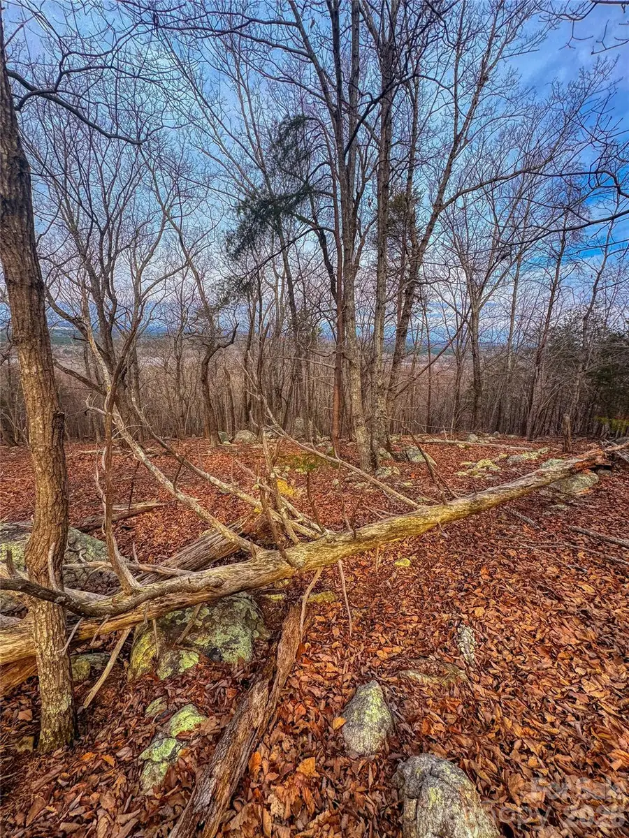 2243 Sierra Trace Road, Denton, NC 27239 - #3