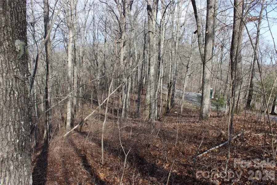Lot 84 Waterdance Drive, Tuckasegee, NC 28783 - #3