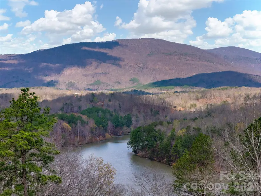 3244 Lake Adger Parkway, Mill Spring, NC 28756 - #2