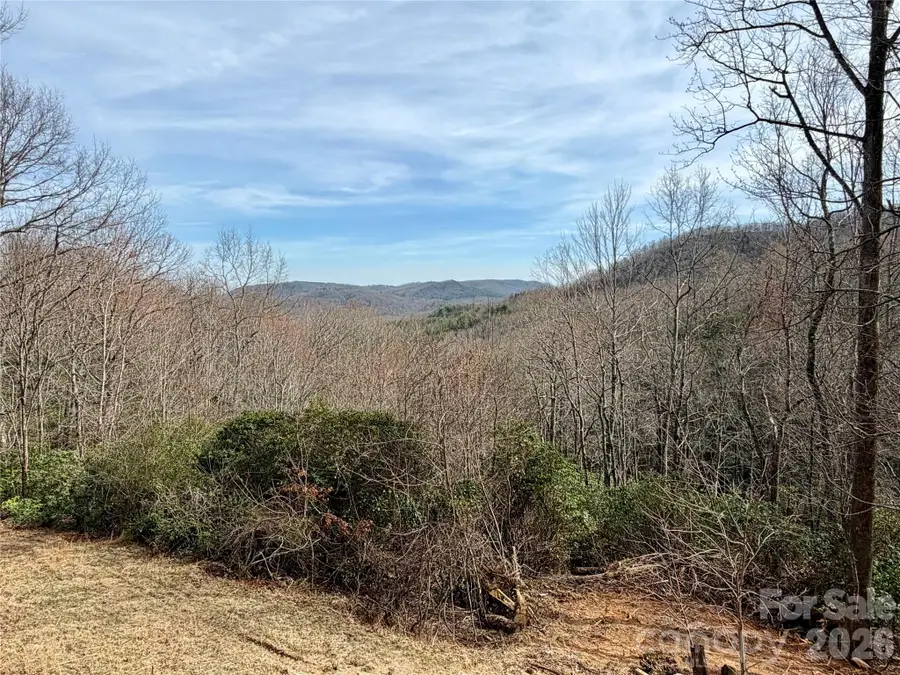 288 Willow Lane, Rosman, NC 28772 - #2