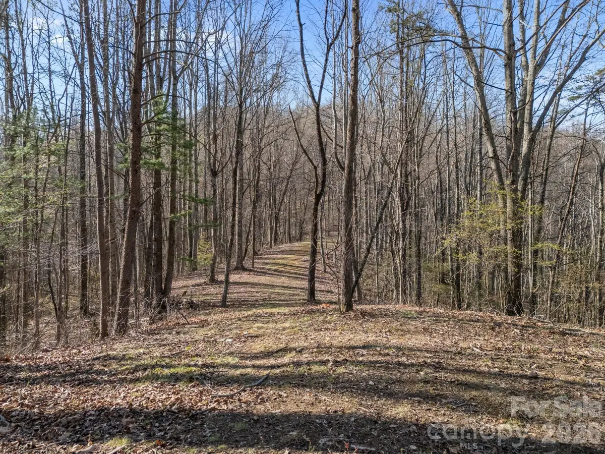 9999 Hidden Cove Road, Leicester, NC 28748 - #1