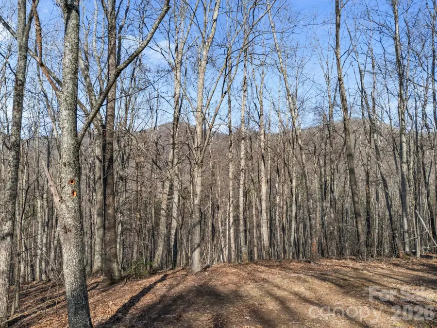 9999 Hidden Cove Road, Leicester, NC 28748 - #2