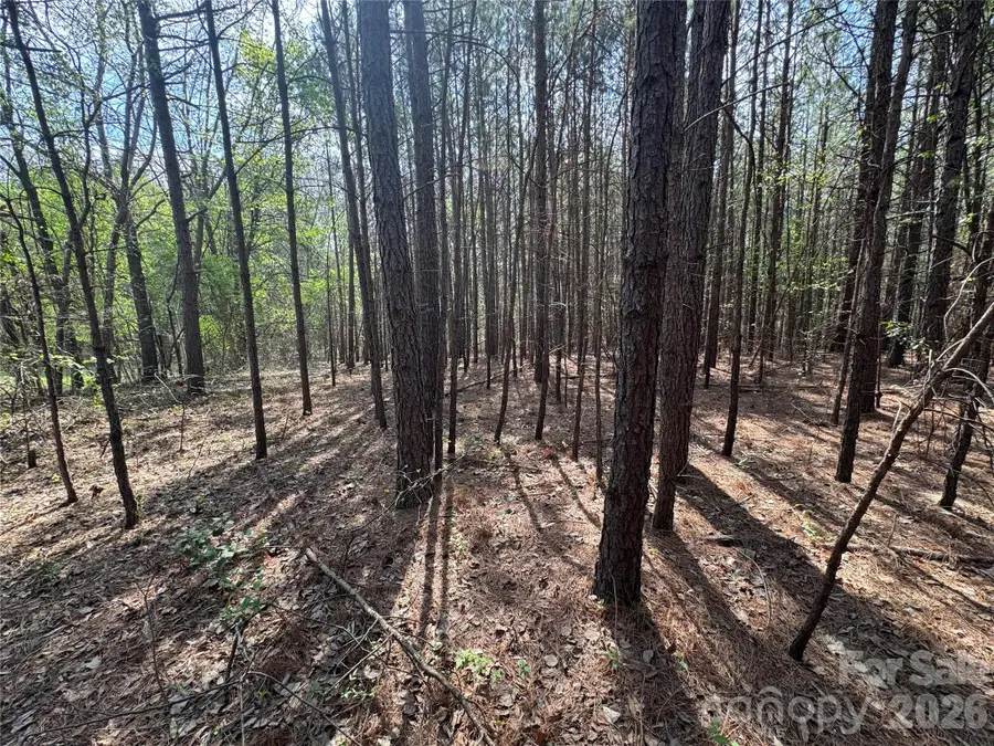 2228 Sam Newell Road, Matthews, NC 28105 - #3