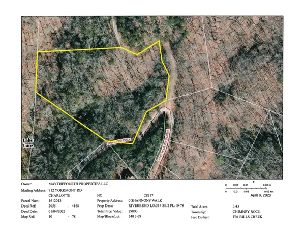 101 Shannons Walk #314, Lake Lure, NC 28746