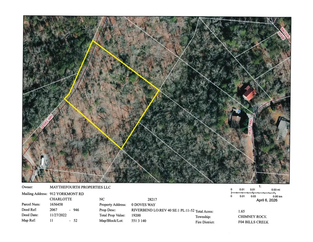 0 Doves Way #40, Lake Lure, NC 28746 - #1