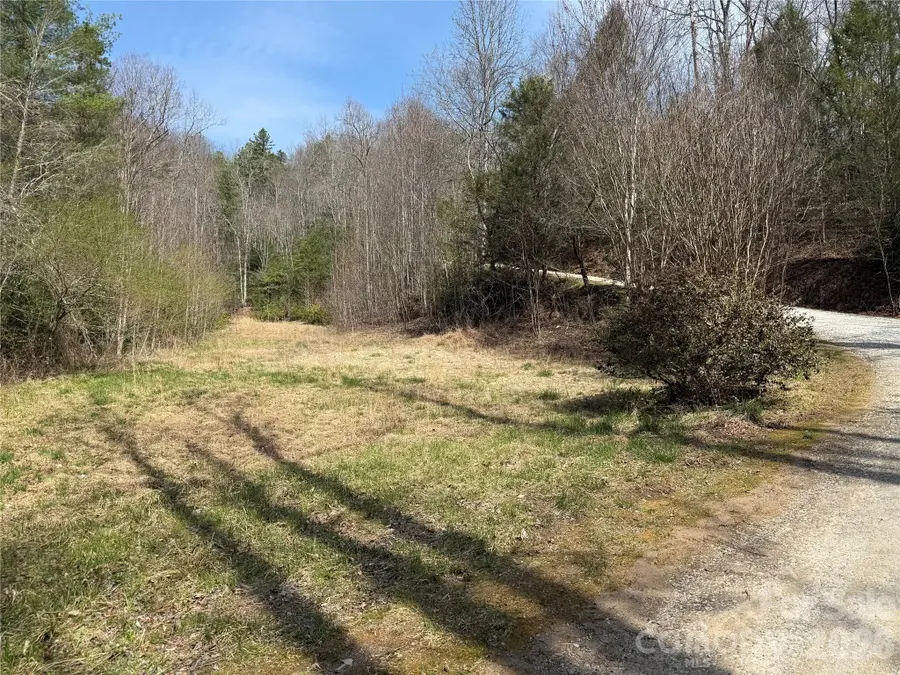 128 Mamies Way, Robbinsville, NC 28771 - #3