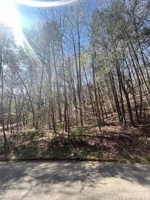 51 Fairway Drive #51, Lake Lure, NC 28746