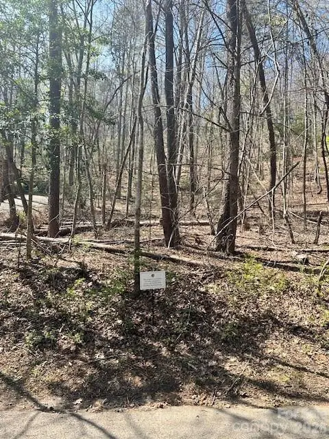 51 Fairway Drive #51, Lake Lure, NC 28746 - #2