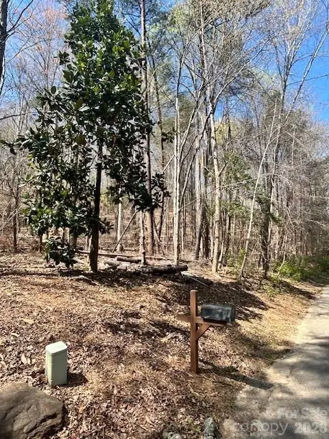 51 Fairway Drive #51, Lake Lure, NC 28746 - #3