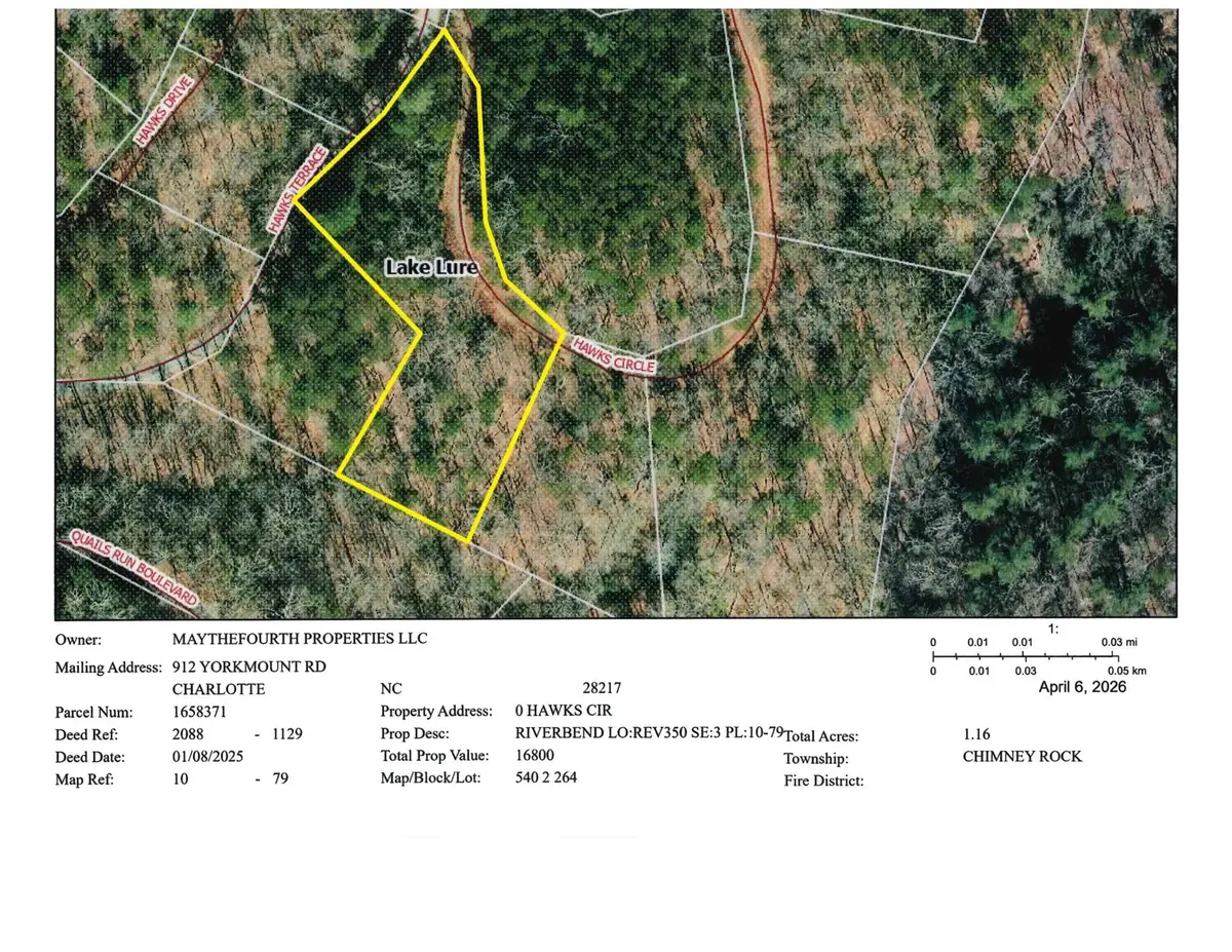 0 Hawks Circle #350, Lake Lure, NC 28746 - #1