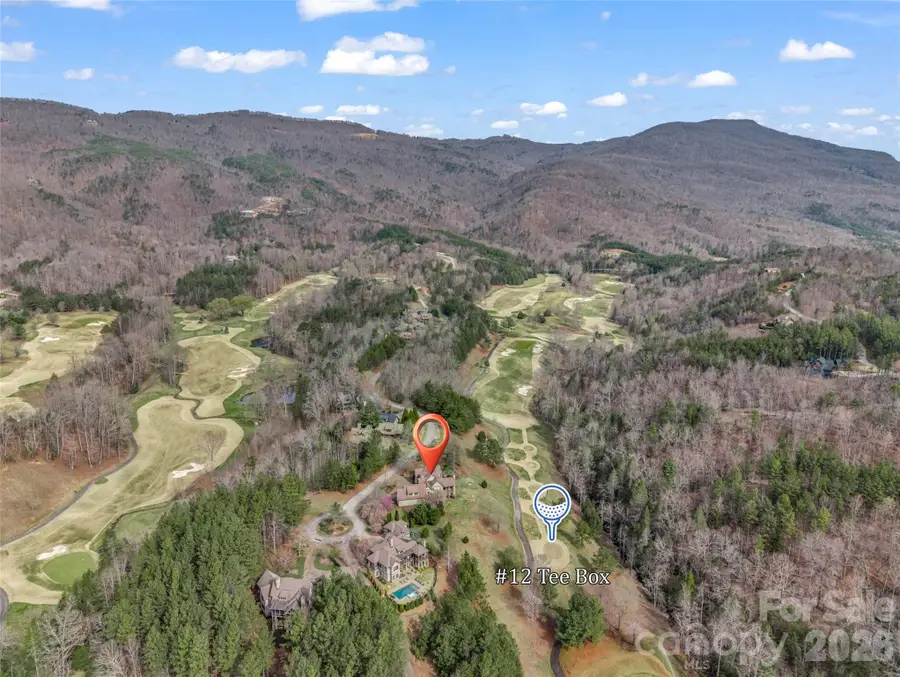 565 Chestertown Drive, Mill Spring, NC 28756 - #3