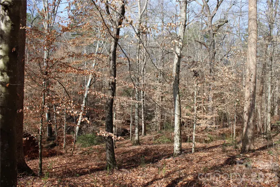 Lot 13 Weatherfield Drive #13, Lincolnton, NC 28092 - #3