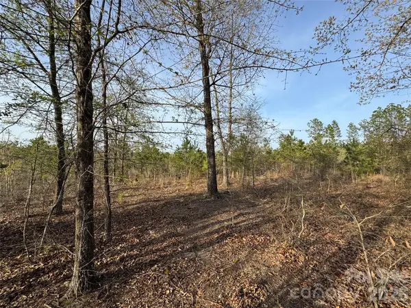 00 Mcqueen Road, Patrick, SC 29584