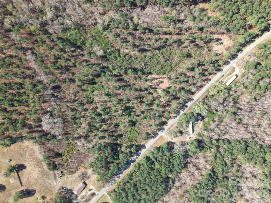 Tract 1&2 Snow Hill Road, Chesterfield, SC 29709 - #3