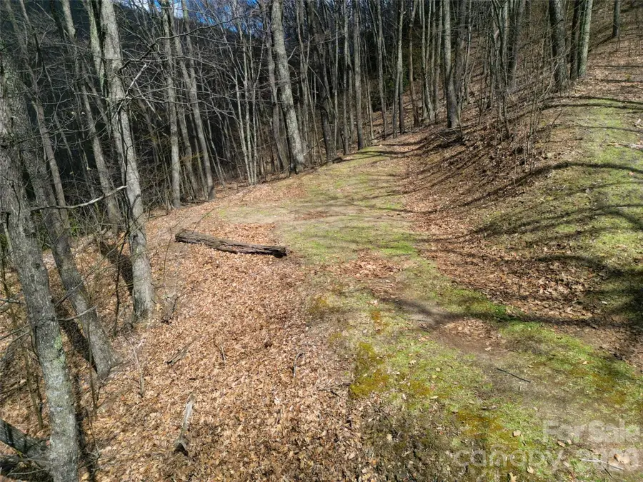 0 Legend Road #18, Waynesville, NC 28786 - #3