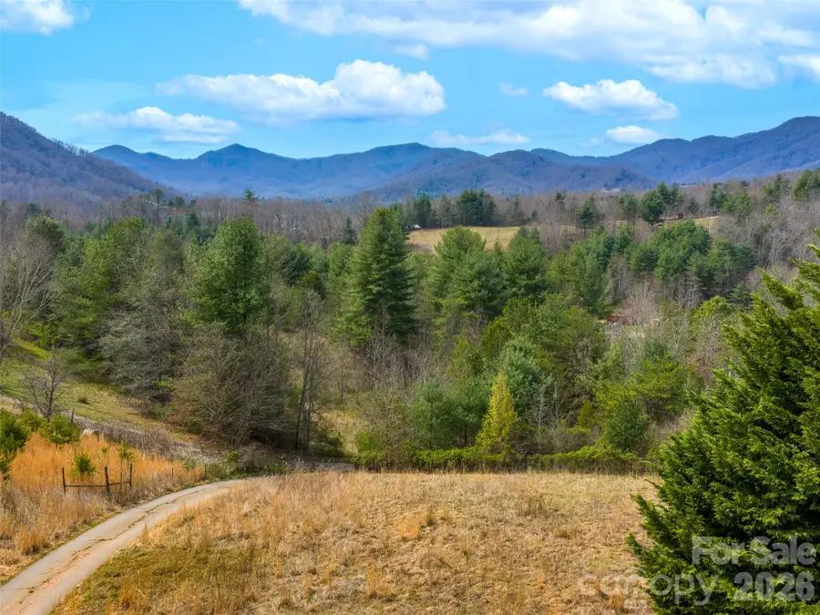 99999 Aladdin Drive, Leicester, NC 28748 - #3