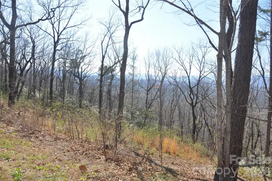 TBD Mountain Crest Drive S #41, Marion, NC 28752 - #2