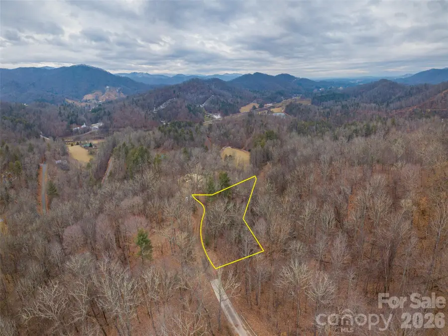 189 Sandys Home Place #Lot 7B, Mars Hill, NC 28754 - #2