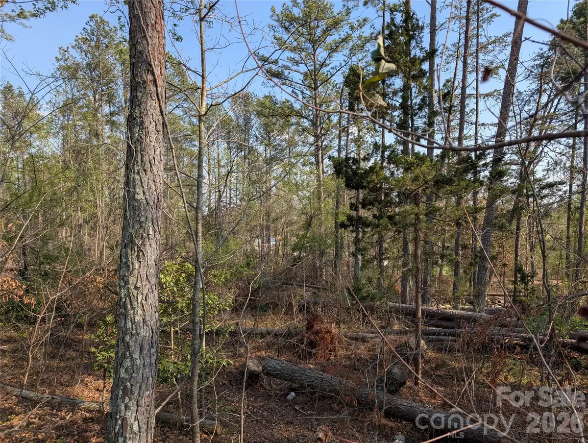 TBD Whitesides Road, Forest City, NC 28043 - #1