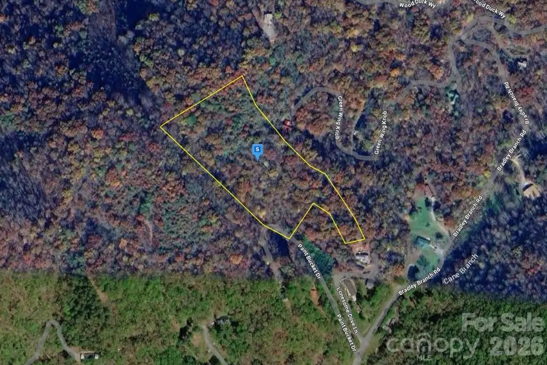 165 Paint Bucket Drive, Whittier, NC 28789 - #1