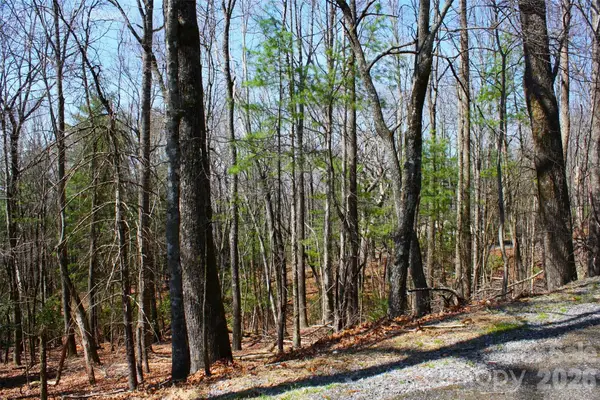 0000 Slick Rock Road, Brevard, NC 28712