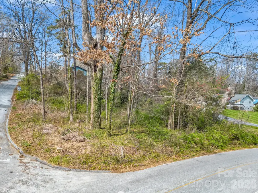 Lot 27 Georgia Avenue, Hendersonville, NC 28739 - #3