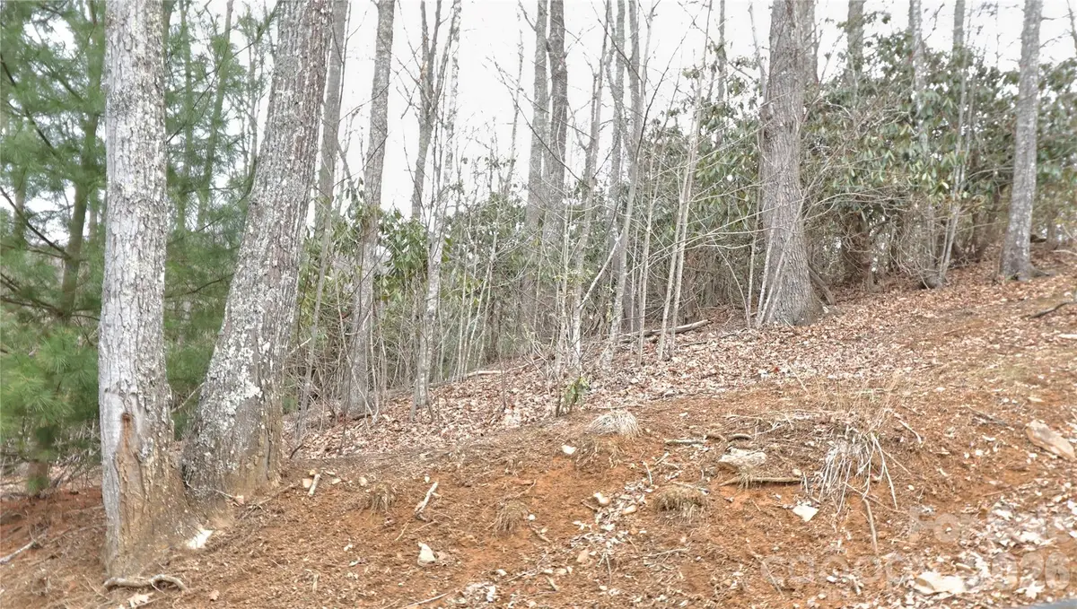 TBD Vineyards Retreat Road #14, Newland, NC 28657 - #1