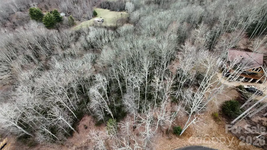 TBD Vineyards Retreat Road #14, Newland, NC 28657 - #3