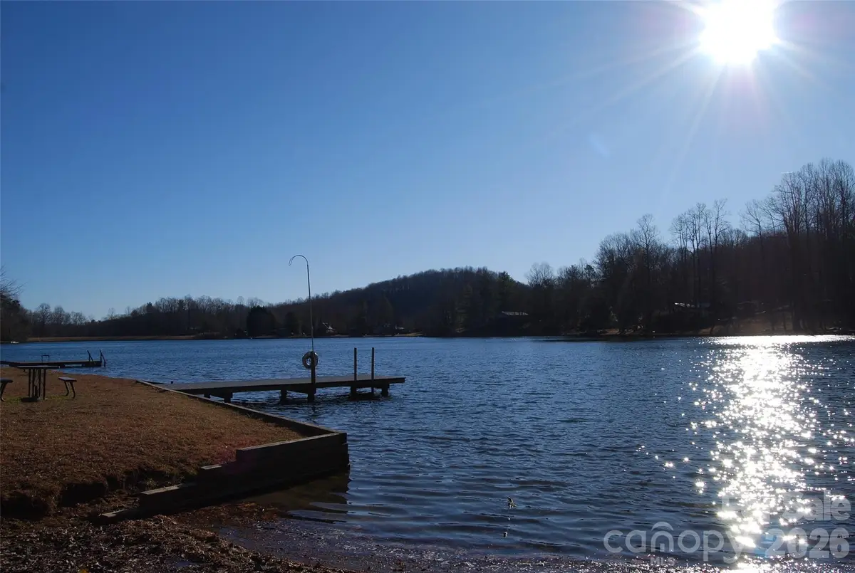 87 Pole Cat Road, Saluda, NC 28773 - #1