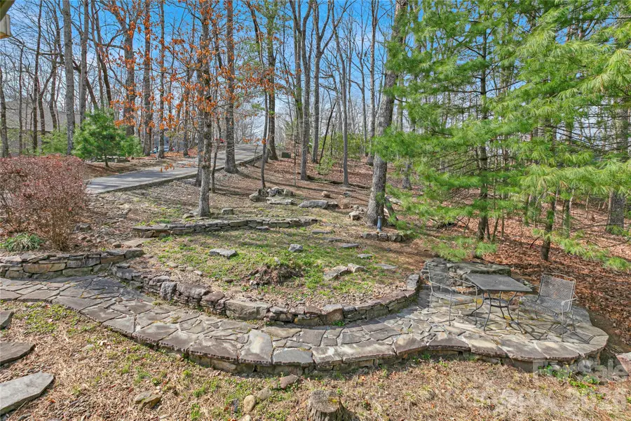 126 Udvawadulisi Court #L117/U07, Brevard, NC 28712 - #2