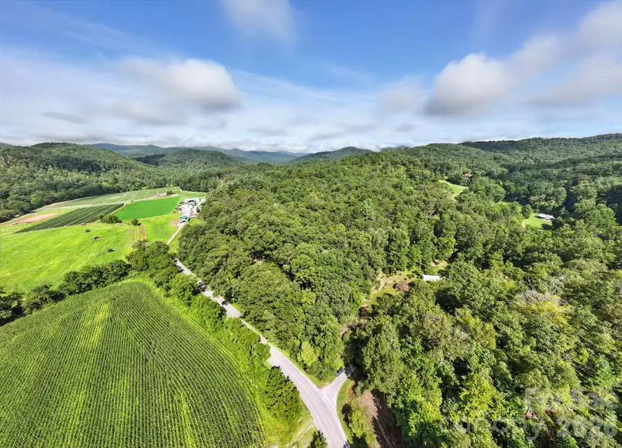 0000 Mullinax Cove Road, Mills River, NC 28759 - #3