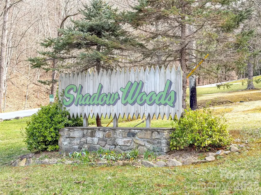 523 Brandywine Road, Waynesville, NC 28786 - #3