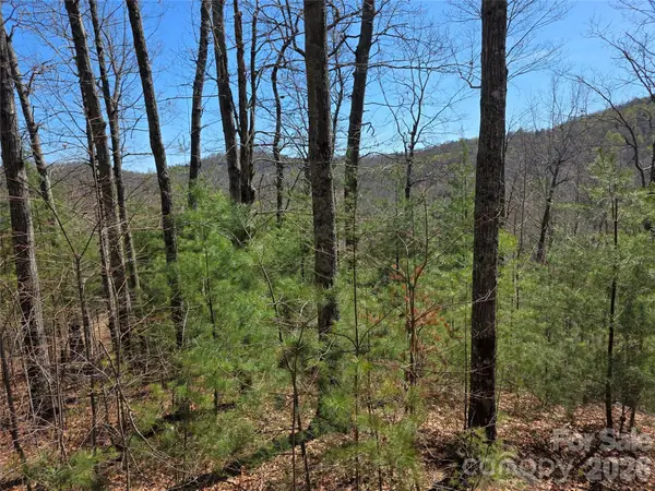 LOT 21 Big Raven Lane #21, Saluda, NC 28773