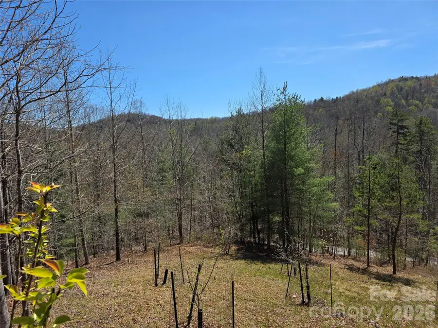 LOT 21 Big Raven Lane #21, Saluda, NC 28773 - #2