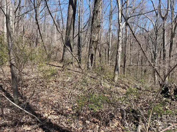 182 Old Mountain Pass, Hendersonville, NC 28792