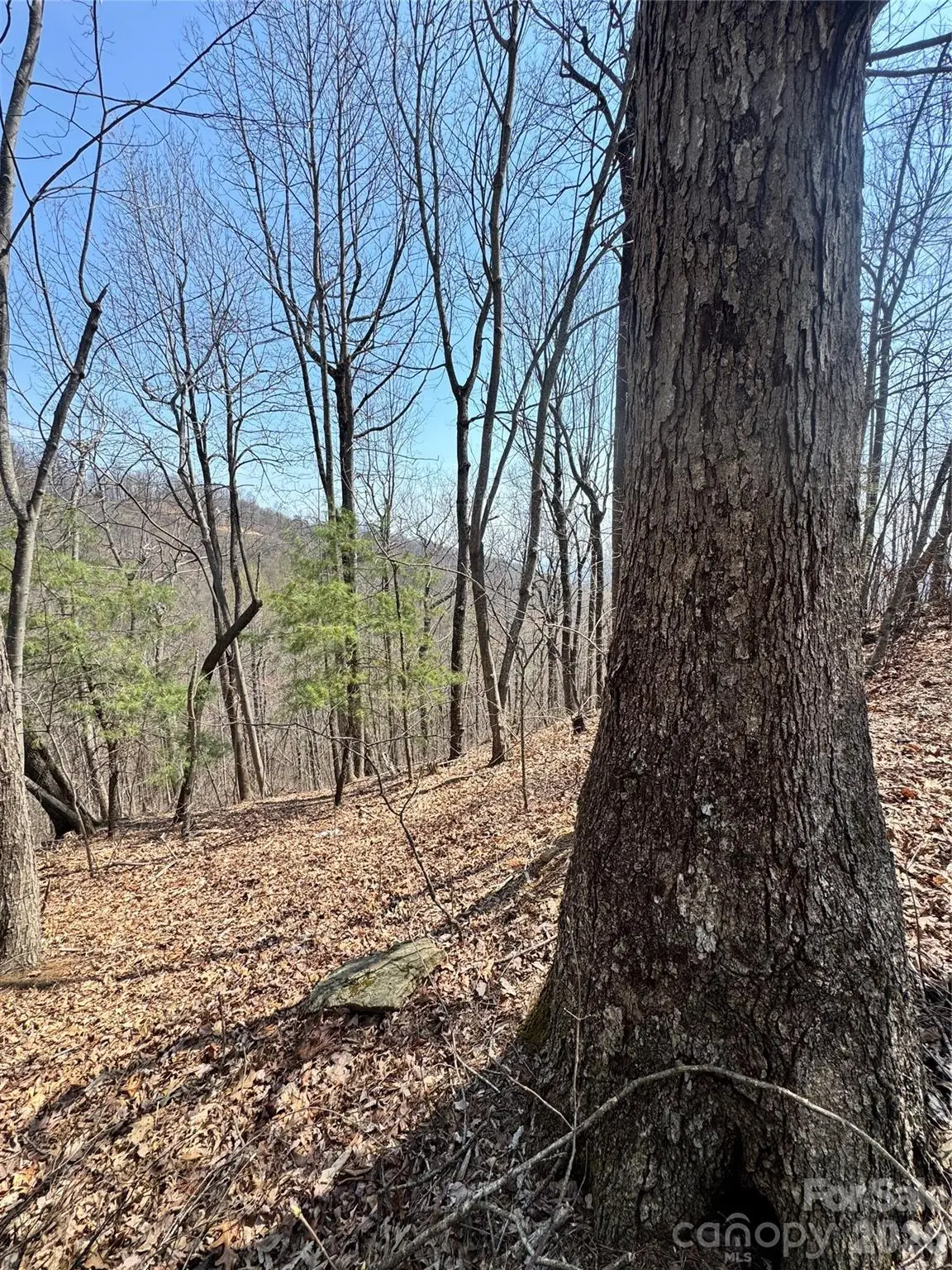 0000 Pinnacle Parkway, Union Mills, NC 28167 - #1