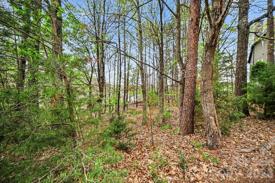 3217 Lake Pointe Drive, South Point, NC 28173 - #3