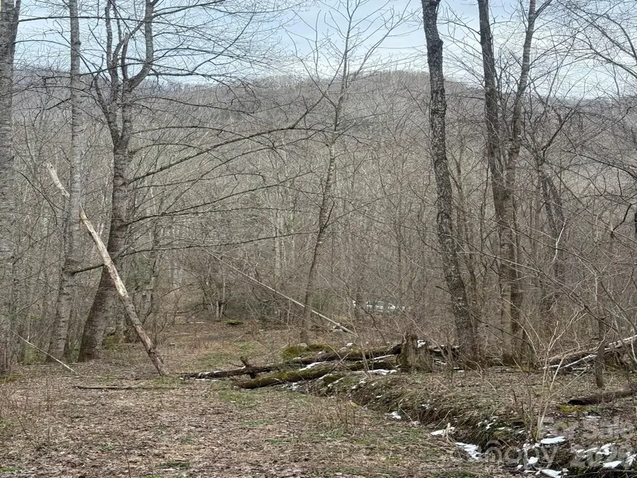 TBD 1.21 Acres Jass Cove Road, Marshall, NC 28753 - #2