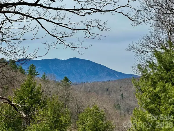65 Blue Ridge Gem Mine Road, Little Switzerland, NC 28777