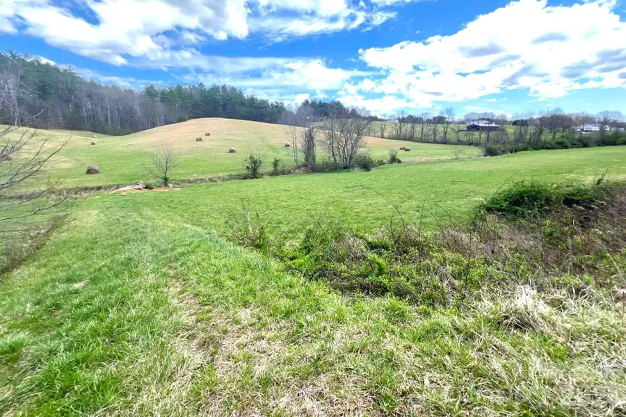 99999 Martin Branch Road, Leicester, NC 28748 - #2