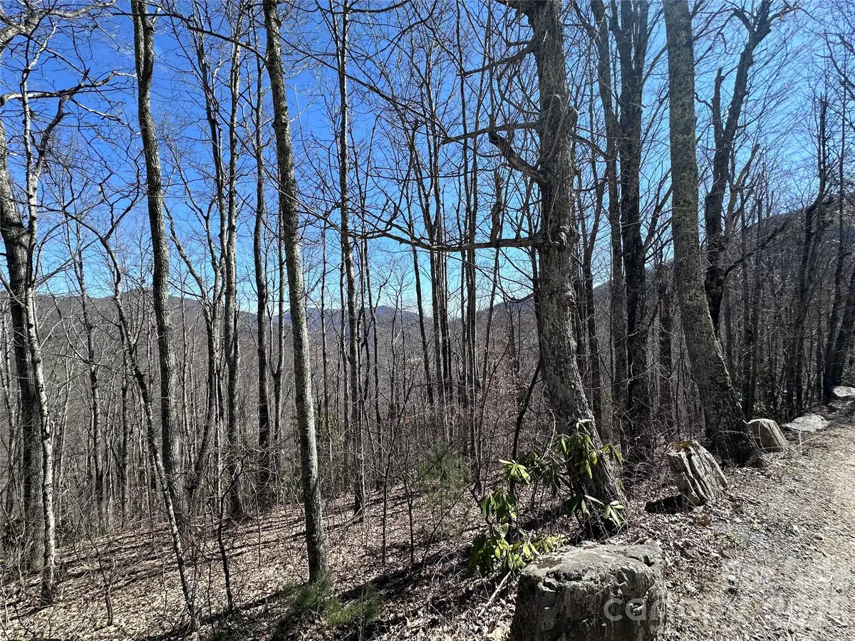 Lot 43 Huckleberry Drive, Maggie Valley, NC 28751 - #1