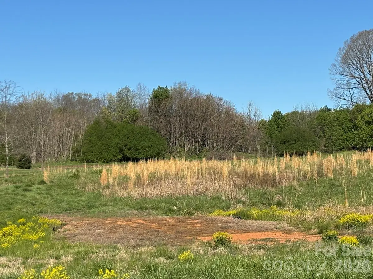Lot #4 Prince Road, Columbus, NC 28722 - #1
