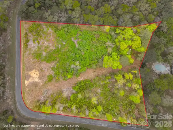 00 Springwood Lakes Road, Chester, SC 29706