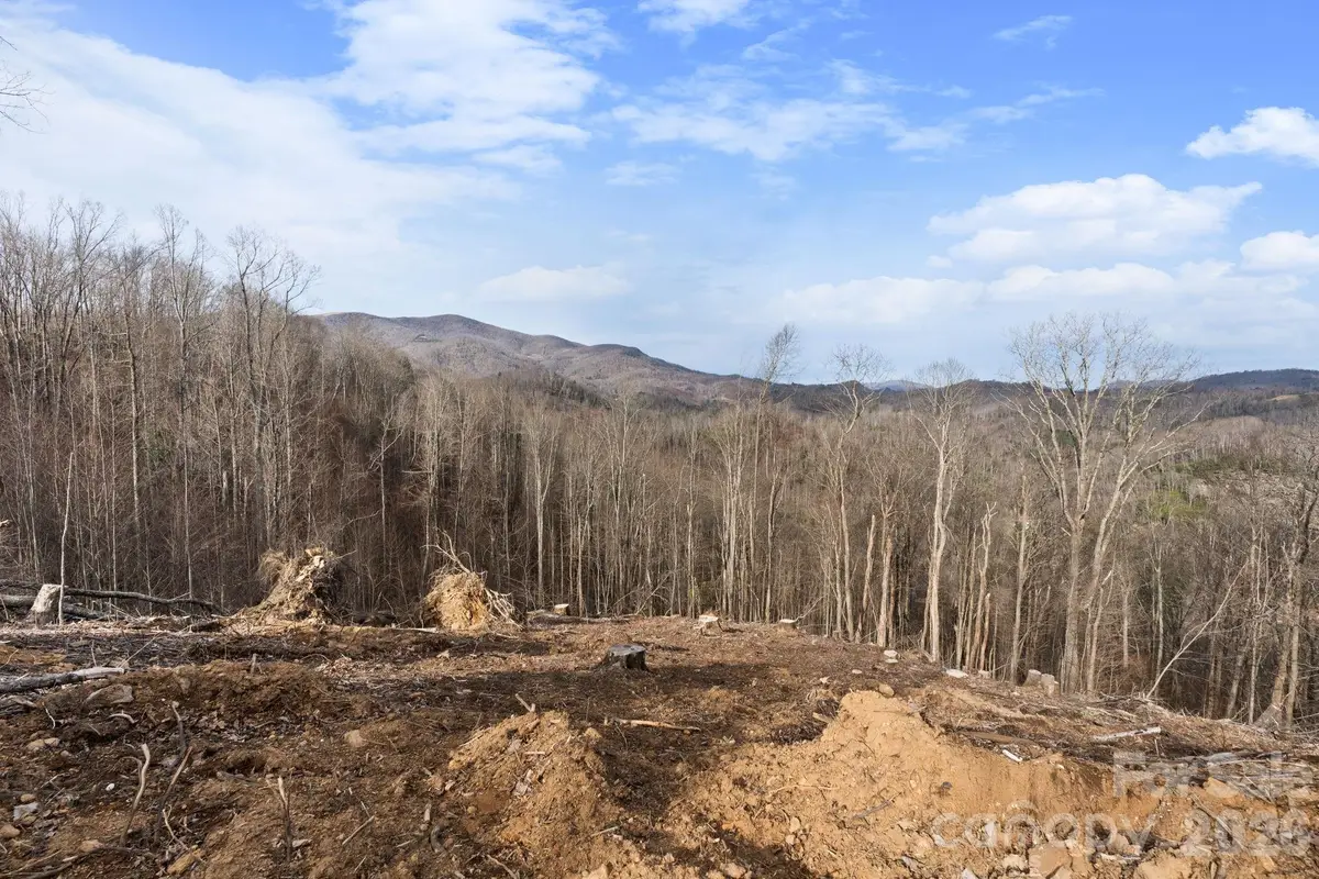 TBD Pinnacle View, Elk Park, NC 28622 - #1