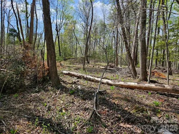 0 Whitney Boulevard #57, Lake Lure, NC 28746