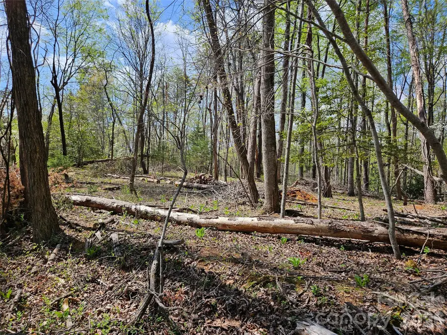 0 Whitney Boulevard #57, Lake Lure, NC 28746 - #2