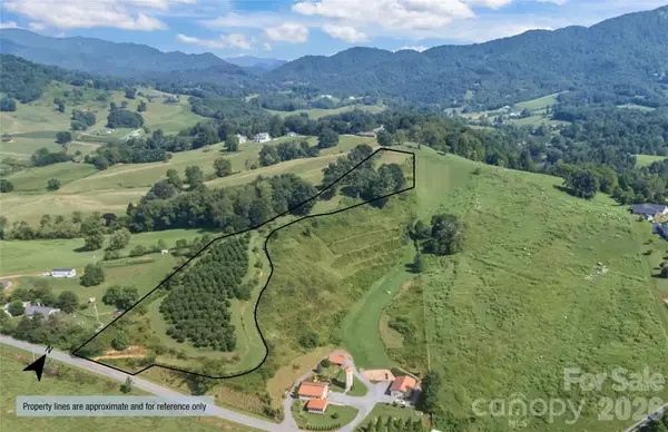 00000 Buck Ridge Road, Waynesville, NC 28785