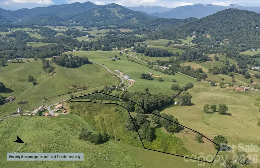 00000 Buck Ridge Road, Waynesville, NC 28785 - #2