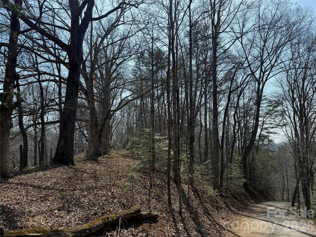 Lot 1 & 2 Boot Hill Road, Whittier, NC 28789 - #1